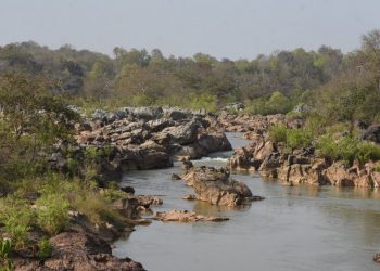 Odisha declares Gupteswar forest as Biodiversity Heritage Site