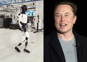 Elon Musk, Robot, Optimus