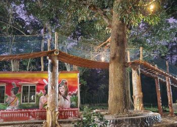 Canopy Bridge in Keonjhar’s Nature Camp