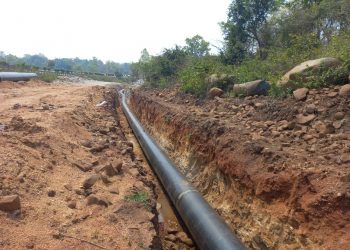 Keonjhar, Wildlife, Odisha