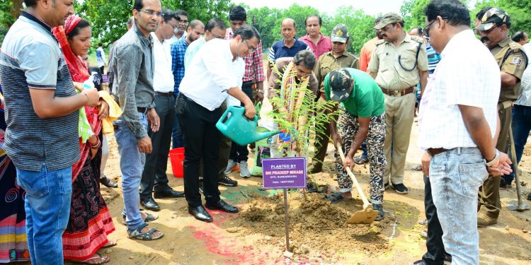 ‘Sanjeevani Vatika’ bonding people together