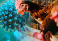 Is the bird flu virus inching closer to humans?