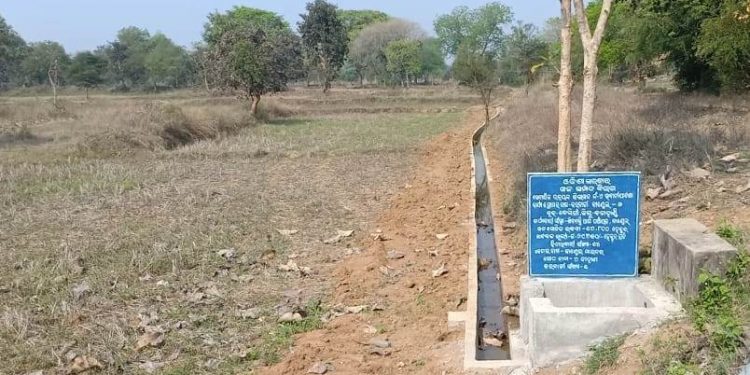 Farmers Thank CM for Kandel-2 Canal in Kalahandi’s Kesinga