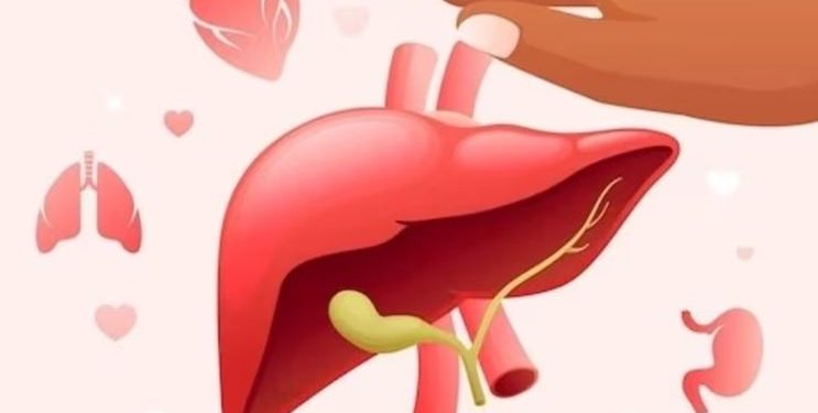 Organ donation