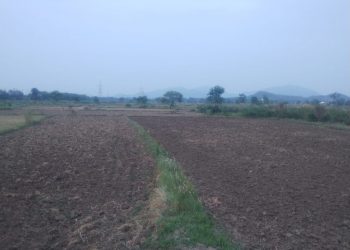 Monsoon delay worries farmers in Nayagarh