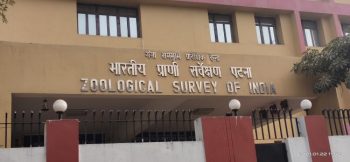 ZSI, Snake, Odisha, Balasore, Berhampur
