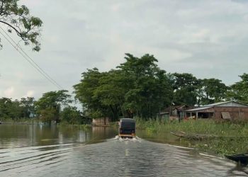 Assam flood
