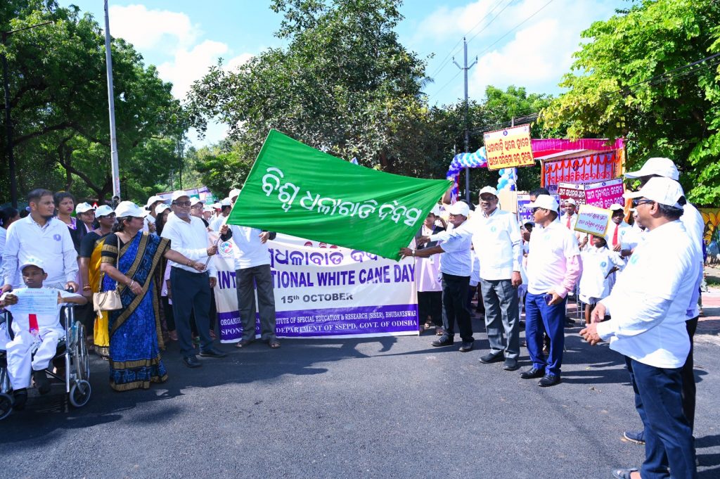 World White Cane Day