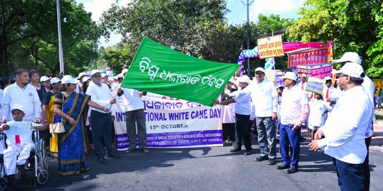 World White Cane Day