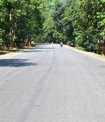 Odisha State Road Policy