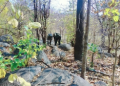 Maoist killed