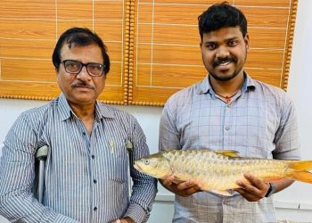 Mahseer species