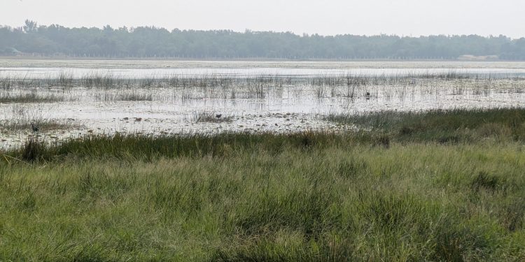 Ganjam - Tampara Lake