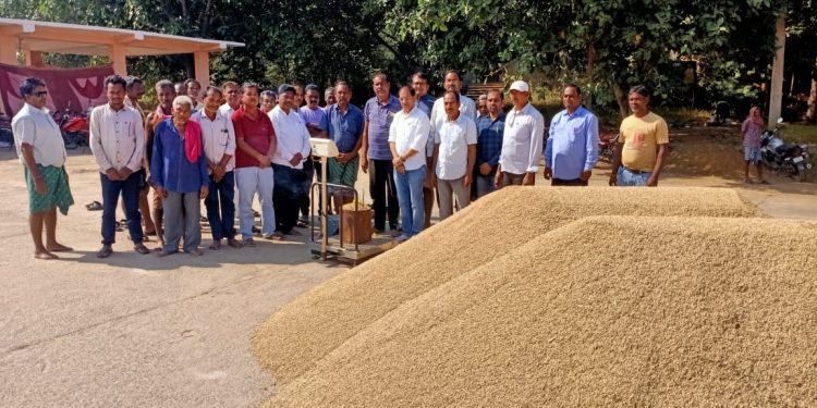 Paddy procurement