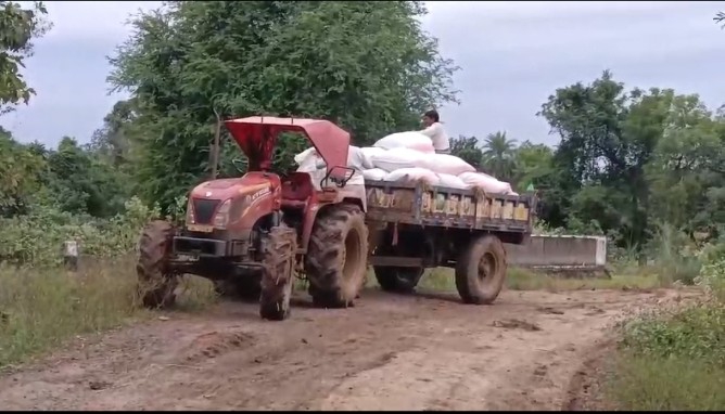 Paddy farmers