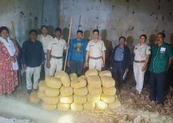 247 kg ganja seized from Koraput kendu leaf godown
