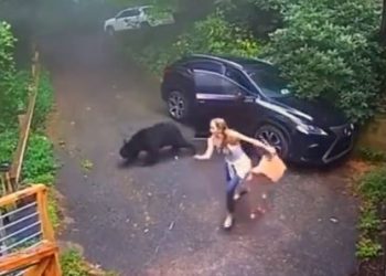 Viral video