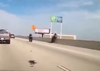 Watch: Viral video shows biker falling off overpass as friend rides away!