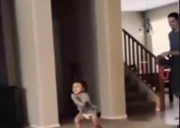 Cute viral video