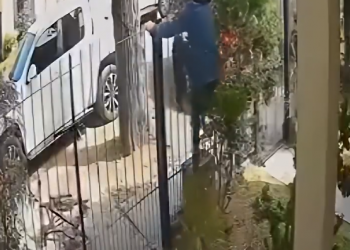 Watch thief vs owner: Who wins? Viral video spoiler - it’s hilarious!