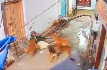 Viral video