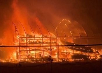South Korea wildfire thumbnail image