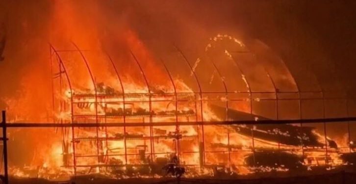 South Korea wildfire thumbnail image