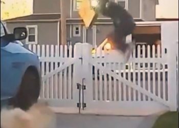 Viral video