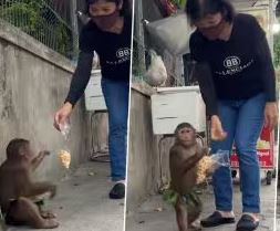 Viral video