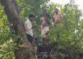 Shalachua residents climb trees to get signal
