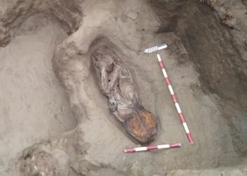 9078EC-PERU-ARCHAEOLOGY_CAPTIONED__O_