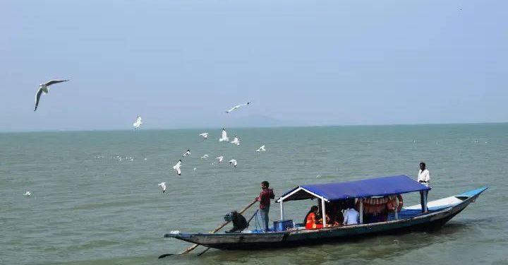 Forest dept-Chilika Lake
