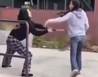 Watch viral video: Girl hammers woman, trio gangs up after spraydown, public steps in