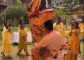 Hilarious viral video