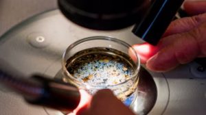 MicroPlastics