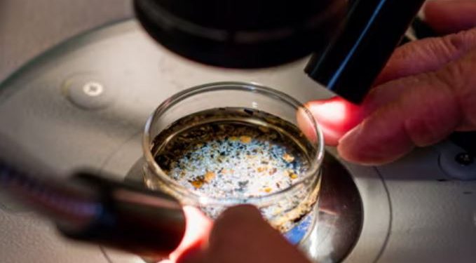 MicroPlastics