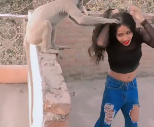 viral video woman monkey