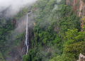 Pic - Odisha Eco Retreat