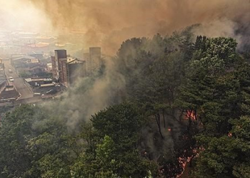South Korea Fire