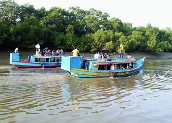 Bhitarkanika National Park