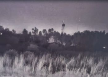 BSF