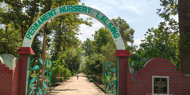 Bhanjanagar DFO office