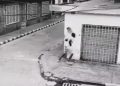 (Viral Video)