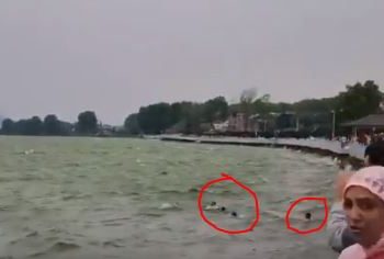 Dal Lake