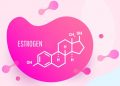 Estrogen