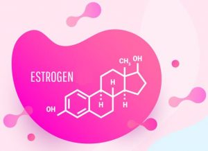 Estrogen