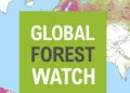 Global Forest Watch