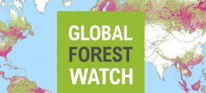 Global Forest Watch