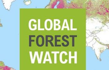 Global Forest Watch