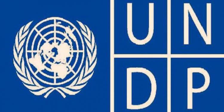 HDI, UNDP, Human Development Index